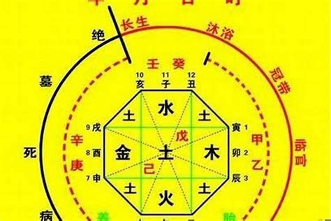 喜神意思|什麼是八字喜用神？